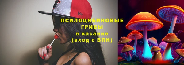 гидропоника Медногорск