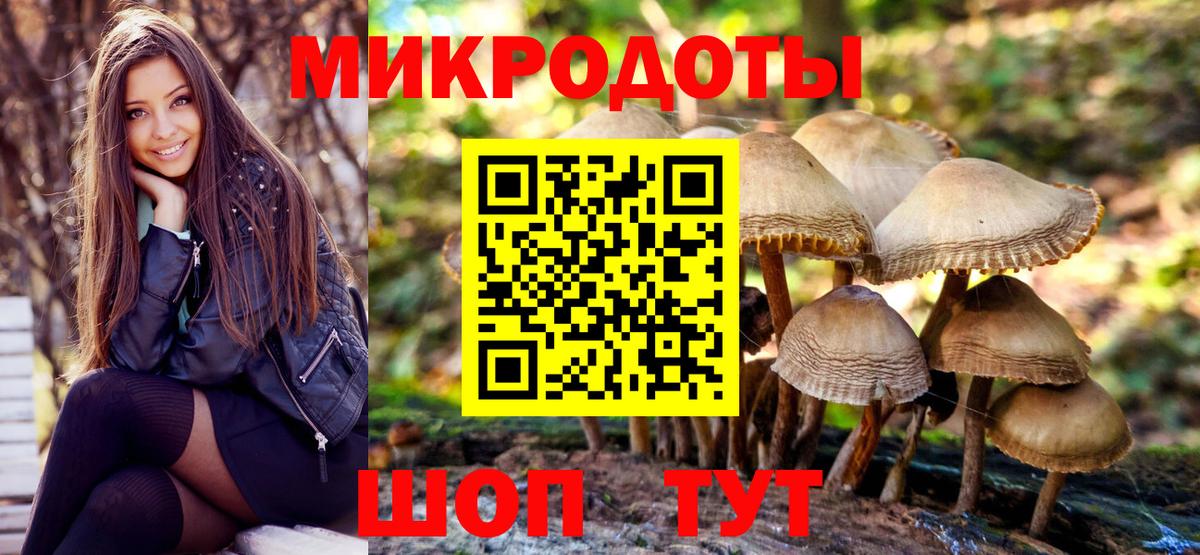 Псилоцибиновые грибы Psilocybe Полевской