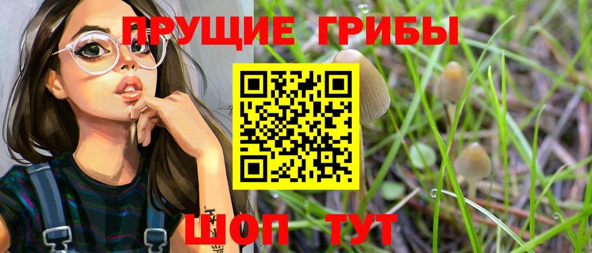 Псилоцибиновые грибы MAGIC MUSHROOMS  Вход с VPN  Полевской  Псилоцибиновые грибы ЛСД 